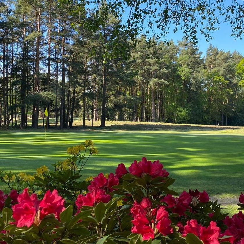 Fourball and two course meal at Sunningdale Heath Golf Club for 4 people