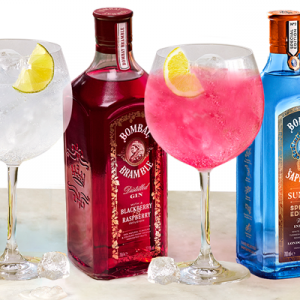 Bombay Sapphire Tour with Hotel for 2 people