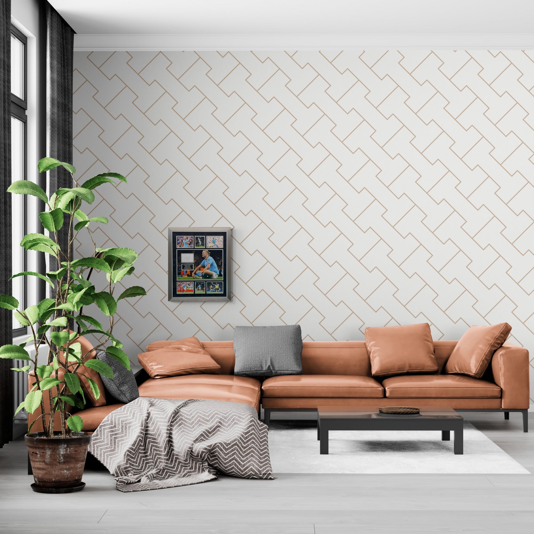 Erling Haaland signed frame