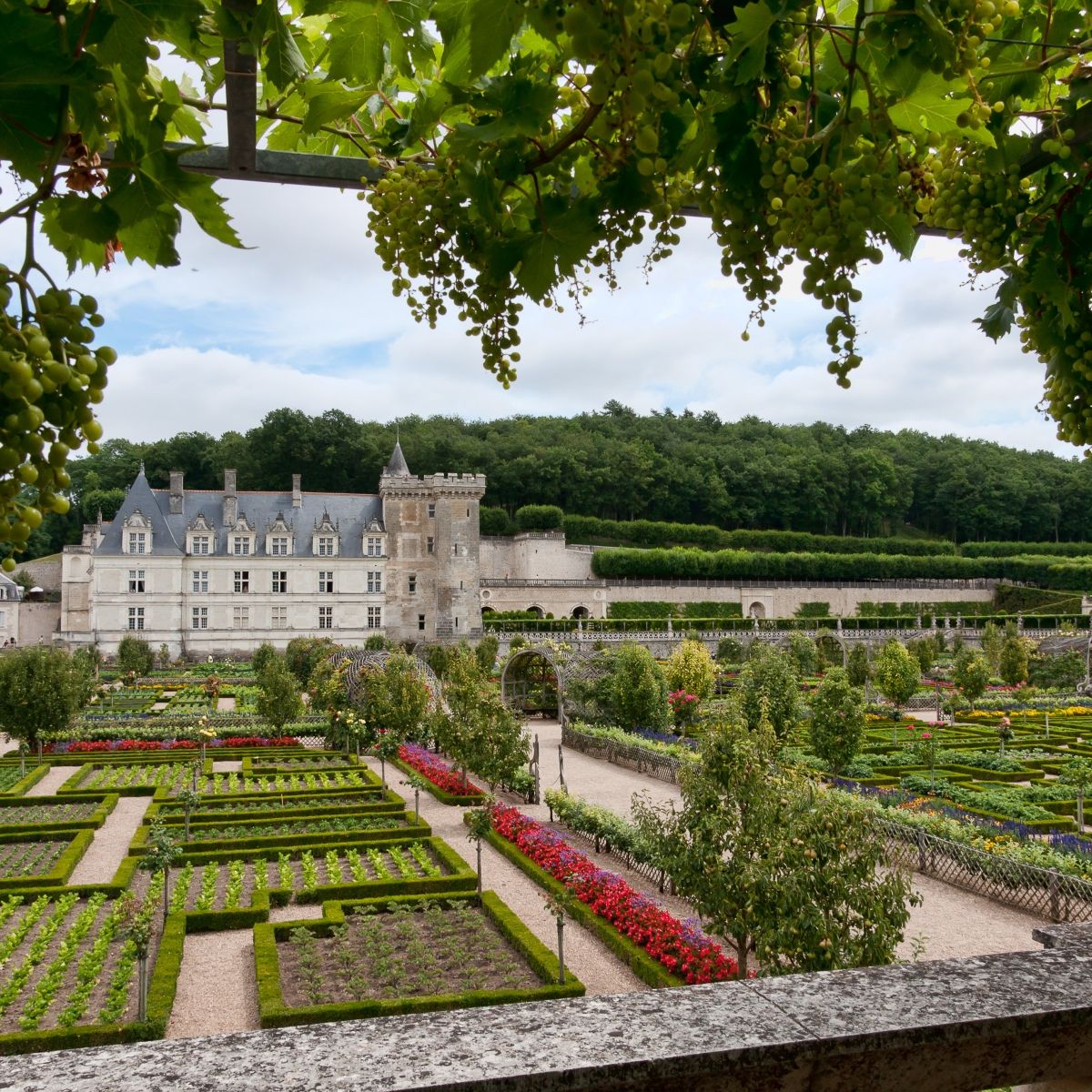 2 nights in The Loire Valley with Chateau and Wine tour for 2 people