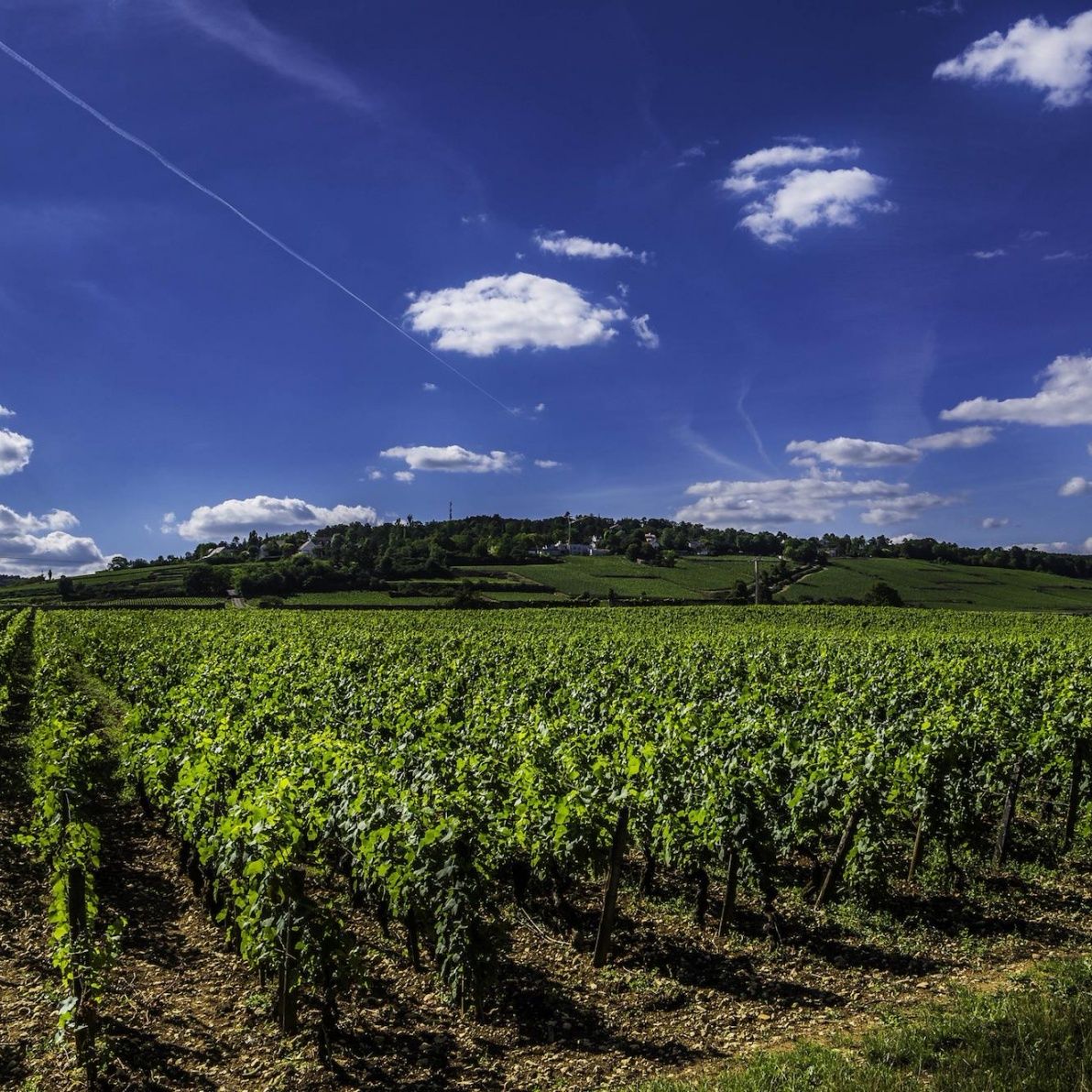 2 nights in The Loire Valley with Chateau and Wine tour for 2 people