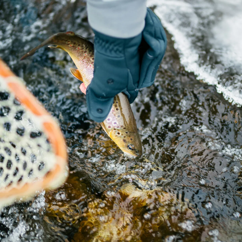 Montana Fly-Fishing for 2 people