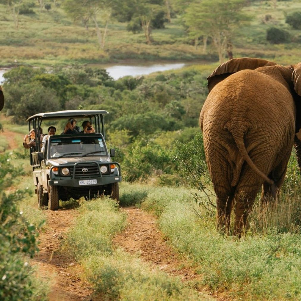 South Africa Zulu Nyala Safari 6 Nights For 2 People