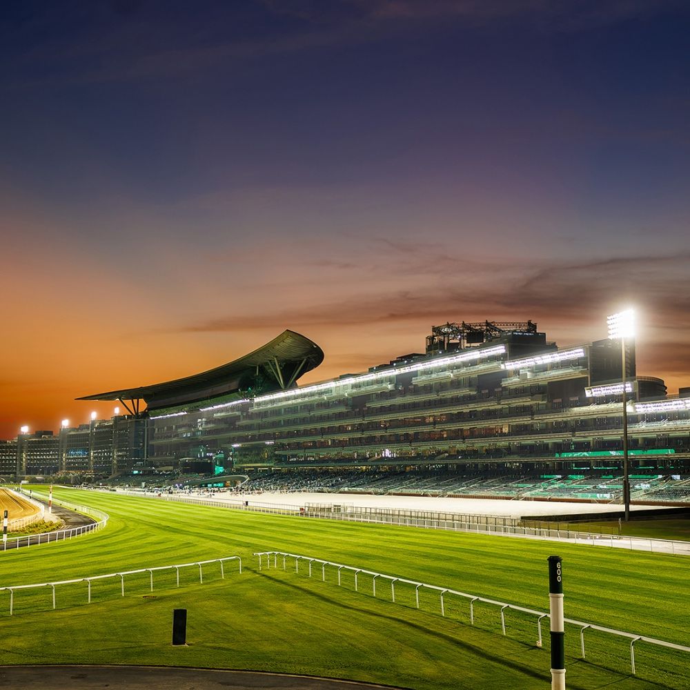 4 Night Stay for the Dubai Racing World Cup 2026 – with Celebrity Yacht Cruise for 2 people
