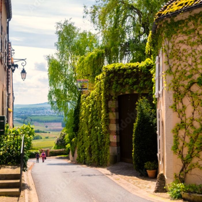 'In The Footsteps Of Dom Perignon' A Magical 3 Night Champagne Escape For 2 People To Legendary Hautvillers, France