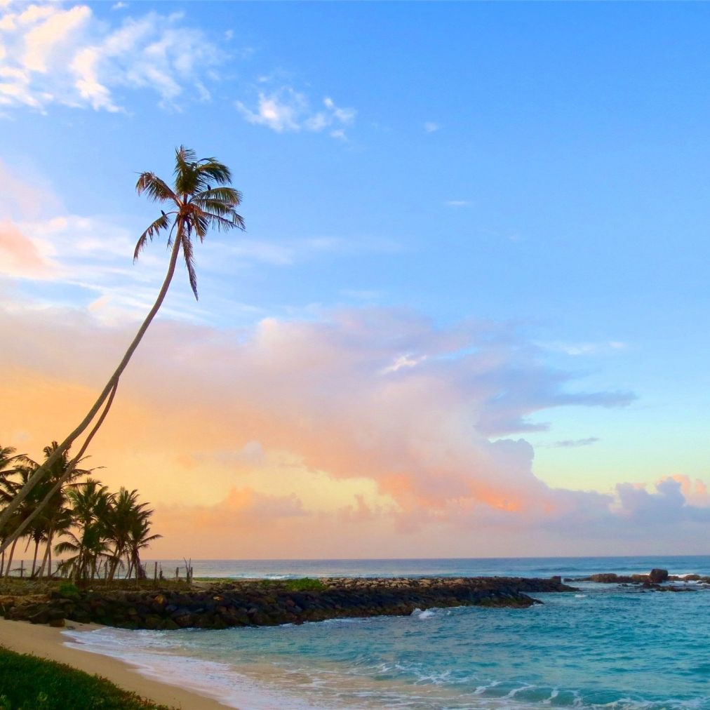 7 nights in a private villa in Sri Lanka for 6 people