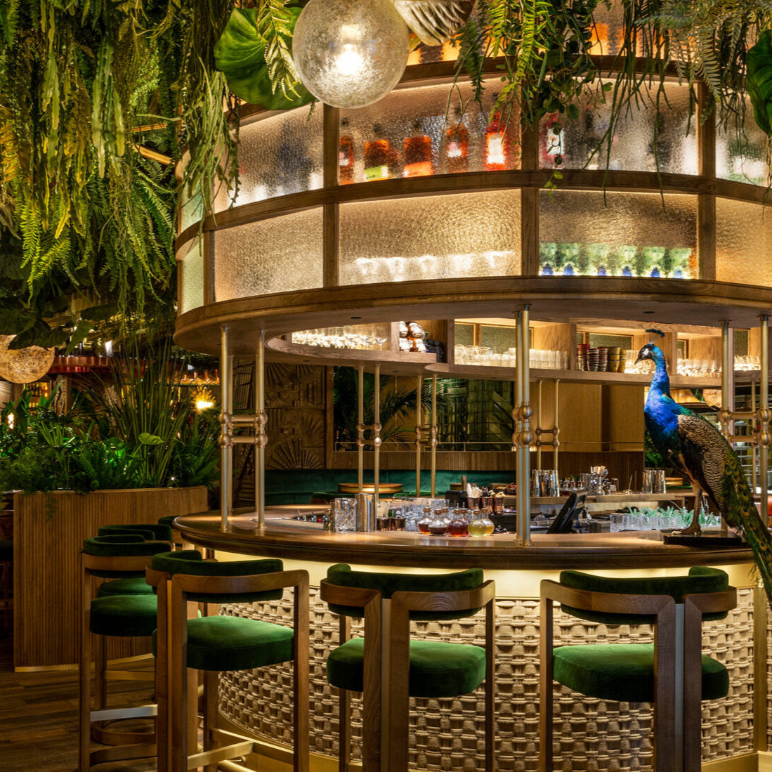 Private Dining at Amazonico, London for 10 people