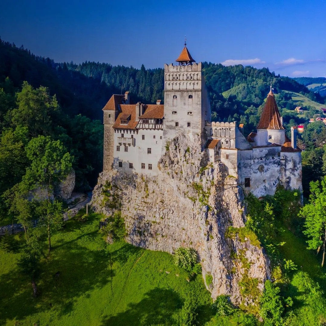 Wild Bear Adventure & Castle Escape for Two in Transylvania