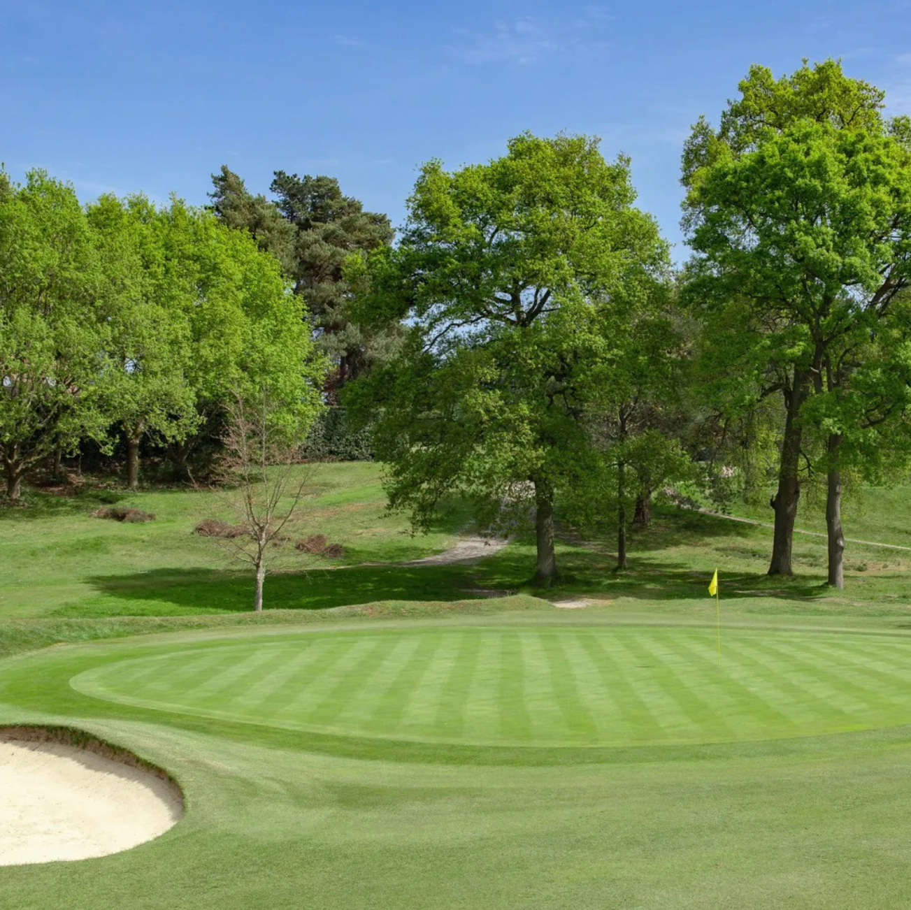 Golf & Gourmet Day for Four at Sunningdale Heath