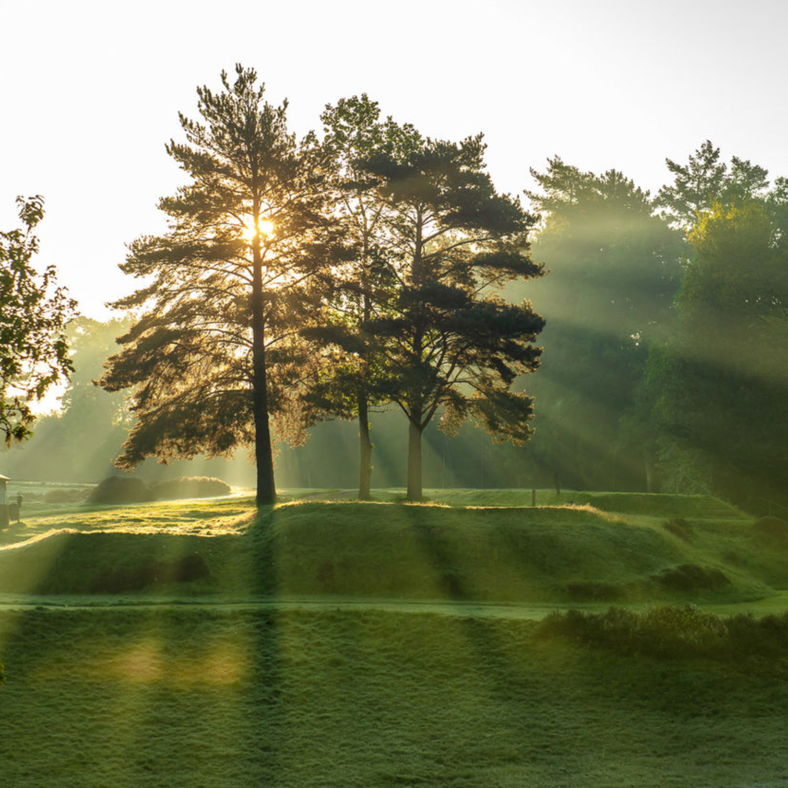 Golf & Gourmet Day for Four at Sunningdale Heath